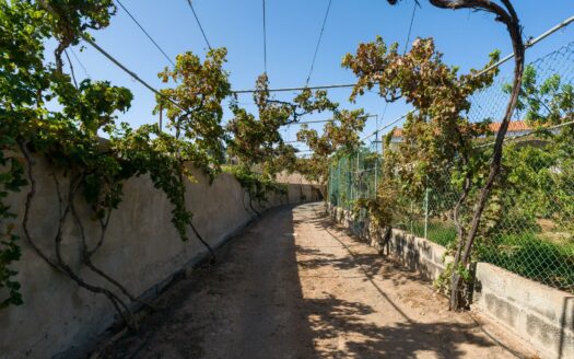 Finca rústica con amplia vivienda y azotea en Las Mejías – Ingenio, Gran Canaria
