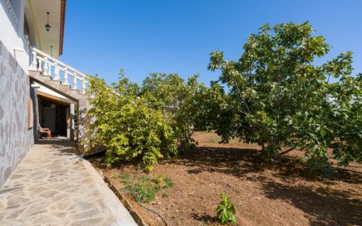 Finca rústica con amplia vivienda y azotea en Las Mejías – Ingenio, Gran Canaria