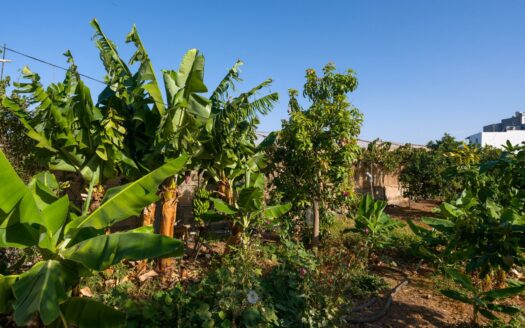 Finca rústica con amplia vivienda y azotea en Las Mejías – Ingenio, Gran Canaria