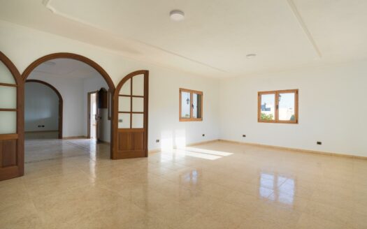 Finca rústica con amplia vivienda y azotea en Las Mejías – Ingenio, Gran Canaria