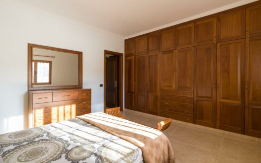 Finca rústica con amplia vivienda y azotea en Las Mejías – Ingenio, Gran Canaria