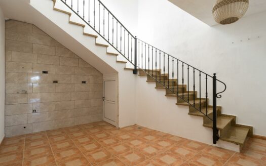 Finca rústica con amplia vivienda y azotea en Las Mejías – Ingenio, Gran Canaria