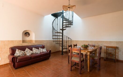 Finca rústica con amplia vivienda y azotea en Las Mejías – Ingenio, Gran Canaria