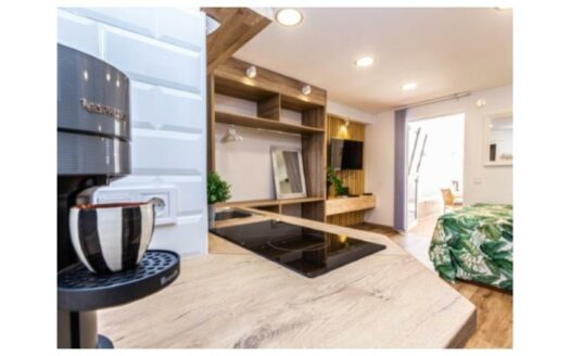 2 bedroom apartment with sea view + Studio in Arguineguin