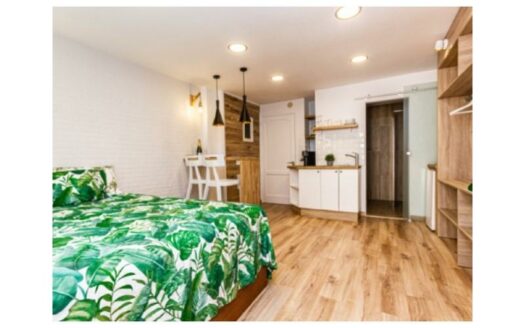 2 bedroom apartment with sea view + Studio in Arguineguin