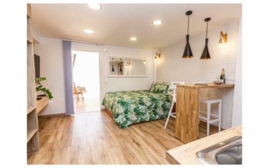 2 bedroom apartment with sea view + Studio in Arguineguin