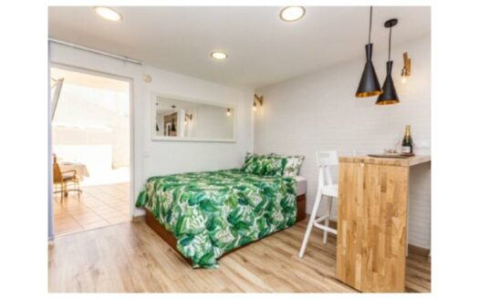 2 bedroom apartment with sea view + Studio in Arguineguin