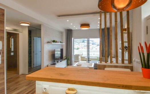 2 bedroom apartment with sea view + Studio in Arguineguin
