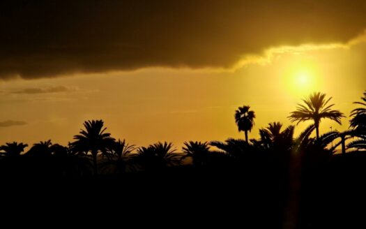 VILLA DE LUJO RECIÉN RENOVADA A POCOS PASOS DEL CENTRO DE MELONERAS. PISCINA PRIVADA CLIMATIZADA. GARAJE TRIPLE. UBICACIÓN PRIVILEGADA FRENTE A VILLA DEL CONDE.
