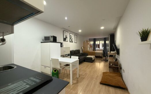 Modern studio for winter season
