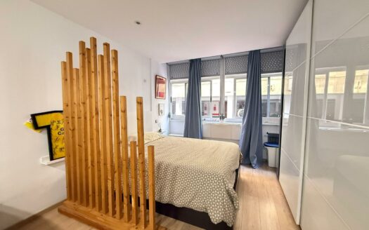 Modern studio for winter season