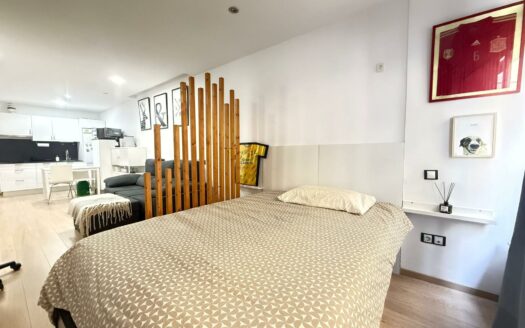 Modern studio for winter season