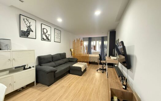 Modern studio for winter season