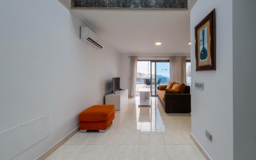 Complex of 46 apartments in Puerto Rico Beach