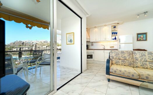 Bright apartment with sea views and afternoon sun