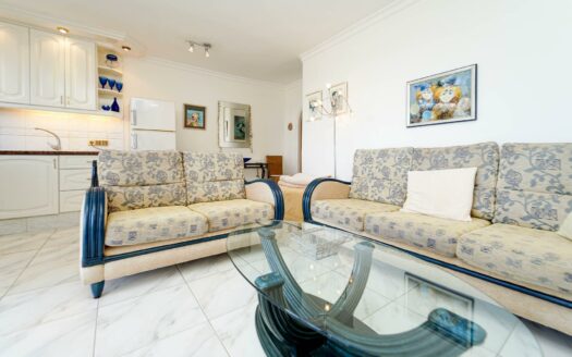 Bright apartment with sea views and afternoon sun