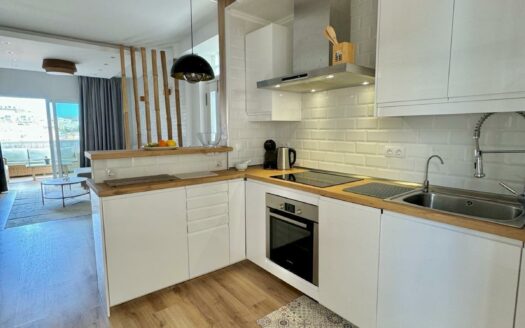 2 bedroom apartment with sea view + Studio in Arguineguin