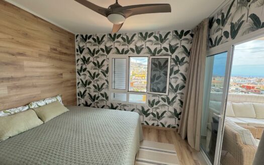 2 bedroom apartment with sea view + Studio in Arguineguin