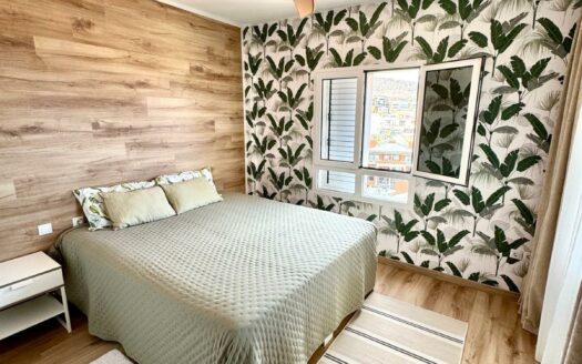 2 bedroom apartment with sea view + Studio in Arguineguin