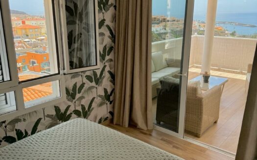 2 bedroom apartment with sea view + Studio in Arguineguin