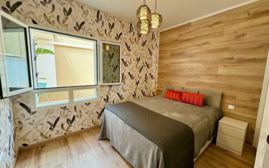 2 bedroom apartment with sea view + Studio in Arguineguin