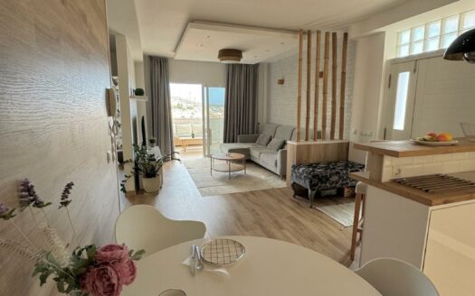 2 bedroom apartment with sea view + Studio in Arguineguin