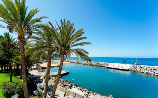 Luz, horizonte y una sensación constante de calma, en uno de los mejores climas del mundo