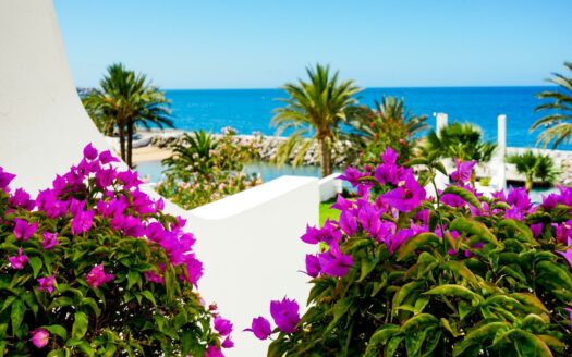 Luz, horizonte y una sensación constante de calma, en uno de los mejores climas del mundo