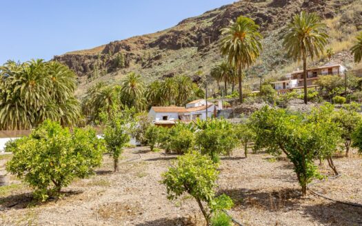 Casa Rural con Apartamento para Invitados con 11horas de agua Incluidas en Fataga