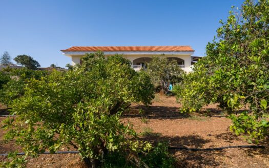 Finca rústica con amplia vivienda y azotea en Las Mejías – Ingenio, Gran Canaria