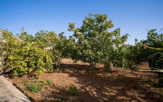 Finca rústica con amplia vivienda y azotea en Las Mejías – Ingenio, Gran Canaria