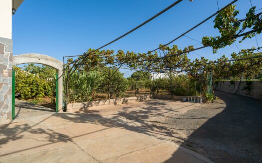 Finca rústica con amplia vivienda y azotea en Las Mejías – Ingenio, Gran Canaria