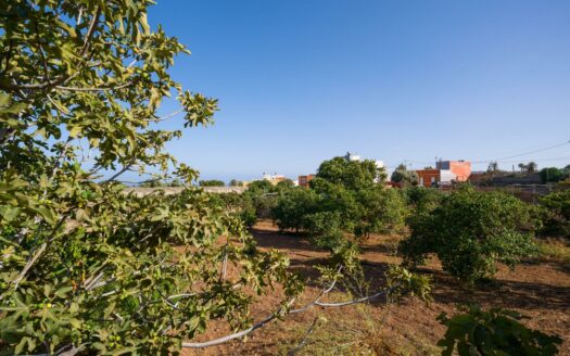 Finca rústica con amplia vivienda y azotea en Las Mejías – Ingenio, Gran Canaria