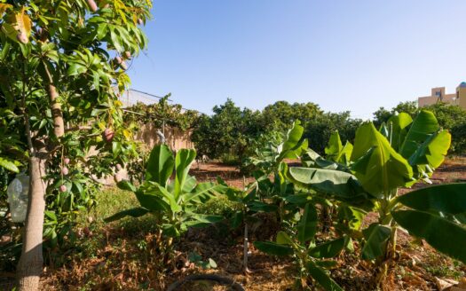 Finca rústica con amplia vivienda y azotea en Las Mejías – Ingenio, Gran Canaria