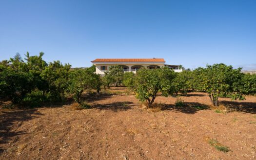 Finca rústica con amplia vivienda y azotea en Las Mejías – Ingenio, Gran Canaria