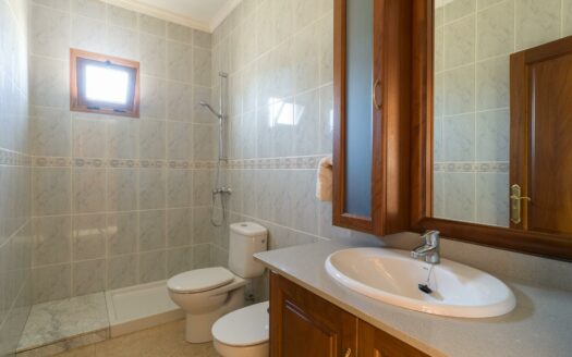 Finca rústica con amplia vivienda y azotea en Las Mejías – Ingenio, Gran Canaria