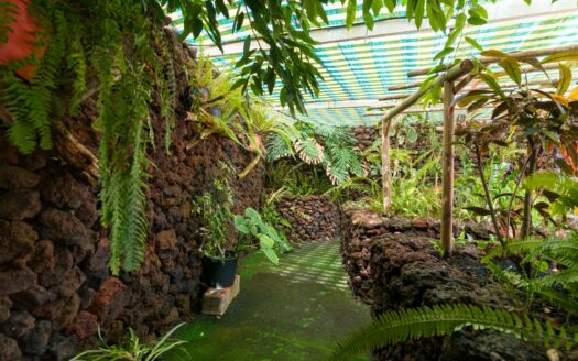 Chalet independiente con jardín y piscina privada en La Garita precio negociable