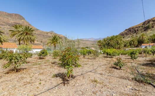 Casa Rural con Apartamento para Invitados con 11horas de agua Incluidas en Fataga