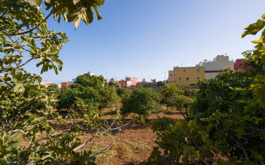 Finca rústica con amplia vivienda y azotea en Las Mejías – Ingenio, Gran Canaria