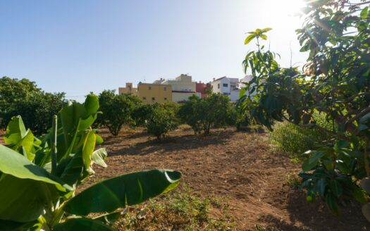 Finca rústica con amplia vivienda y azotea en Las Mejías – Ingenio, Gran Canaria