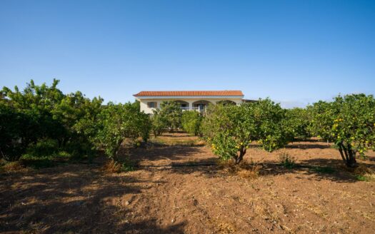 Finca rústica con amplia vivienda y azotea en Las Mejías – Ingenio, Gran Canaria