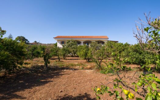 Finca rústica con amplia vivienda y azotea en Las Mejías – Ingenio, Gran Canaria