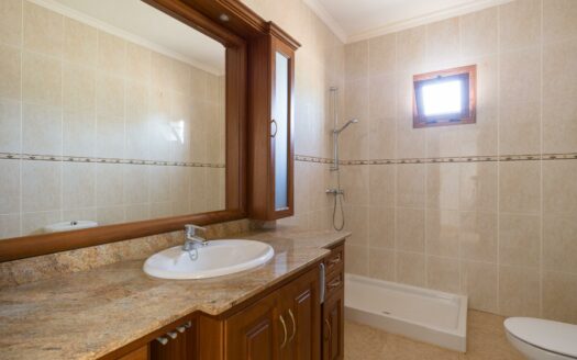 Finca rústica con amplia vivienda y azotea en Las Mejías – Ingenio, Gran Canaria