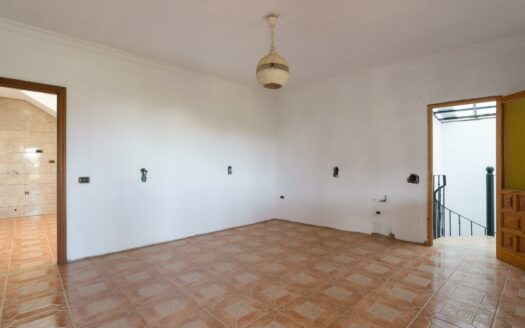 Finca rústica con amplia vivienda y azotea en Las Mejías – Ingenio, Gran Canaria