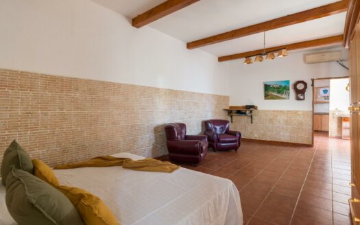 Finca rústica con amplia vivienda y azotea en Las Mejías – Ingenio, Gran Canaria