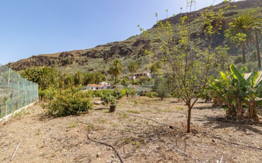 Landhaus mit Gästeapartment und 11 Stunden Bewässerungswasser inklusive in Fataga