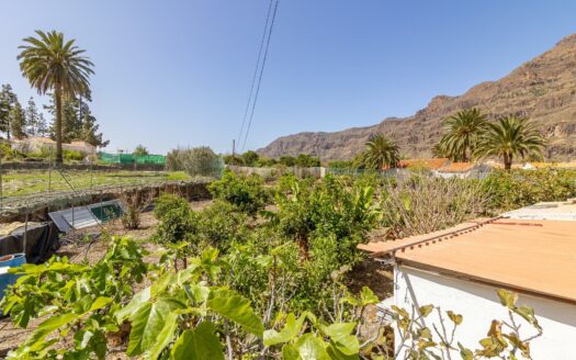 Landhaus mit Gästeapartment und 11 Stunden Bewässerungswasser inklusive in Fataga