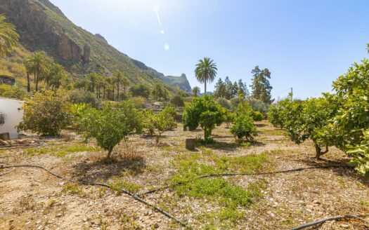 Landhaus mit Gästeapartment und 11 Stunden Bewässerungswasser inklusive in Fataga