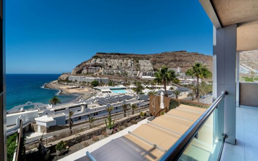 Exclusive 2-bedroom apartment with spacious balcony in Playa del Cura