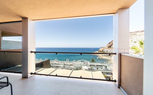 Exclusive 2-bedroom apartment with spacious balcony in Playa del Cura